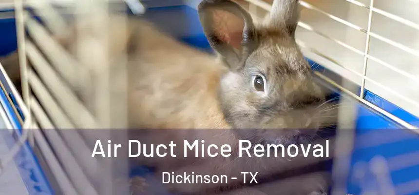 Air Duct Mice Removal Dickinson - TX