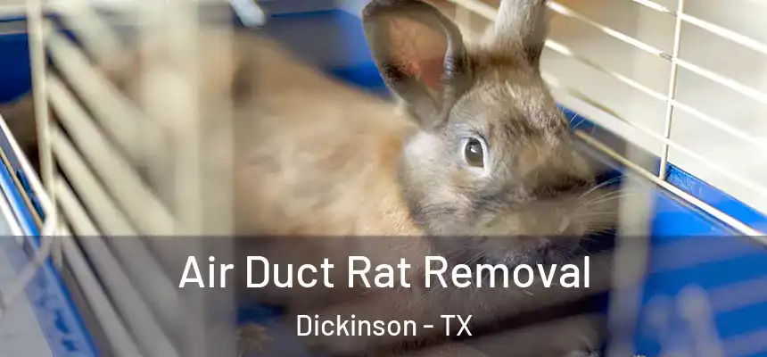  Air Duct Rat Removal Dickinson - TX