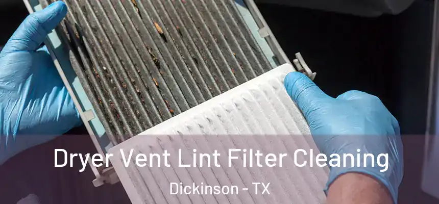  Dryer Vent Lint Filter Cleaning Dickinson - TX