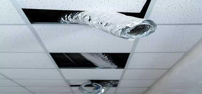 Our Air Duct Pet Hair Removal Services in Dickinson, TX