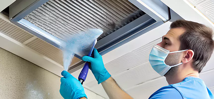 Proactive Dryer Vent & Auxiliary Duct Pollen Cleanup in Dickinson, TX