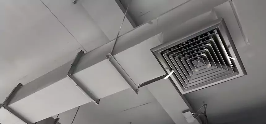 Our Rodent Droppings In Vents Services in Dickinson, TX