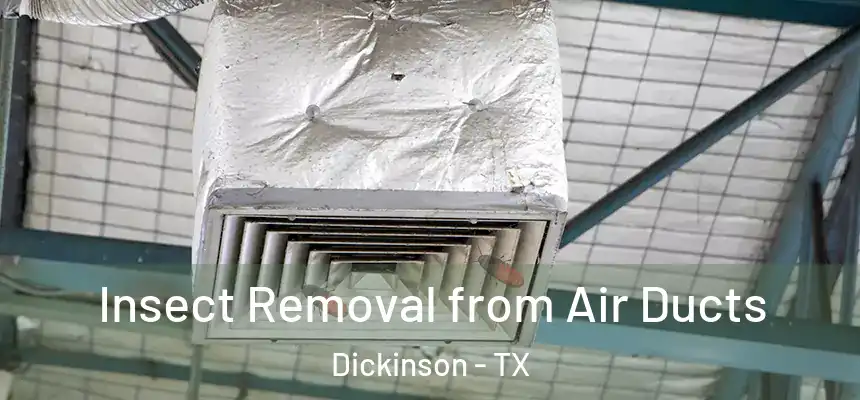  Insect Removal from Air Ducts Dickinson - TX