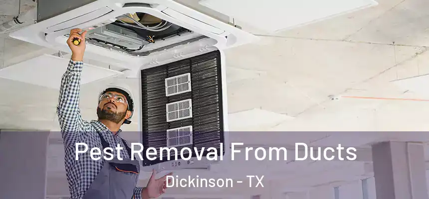  Pest Removal From Ducts Dickinson - TX