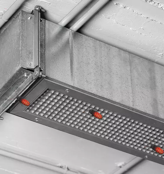 Affordable Insect Removal from Air Ducts in Dickinson, TX