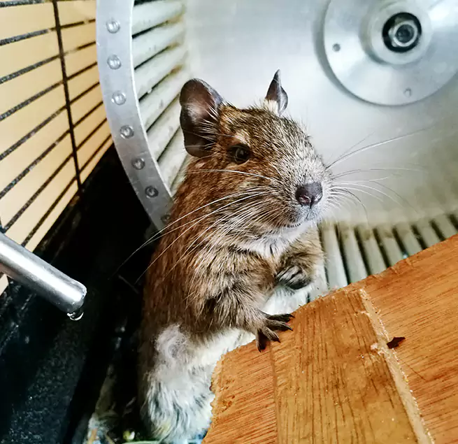 Why Homeowners & Businesses Trust Us Dickinson, TX?