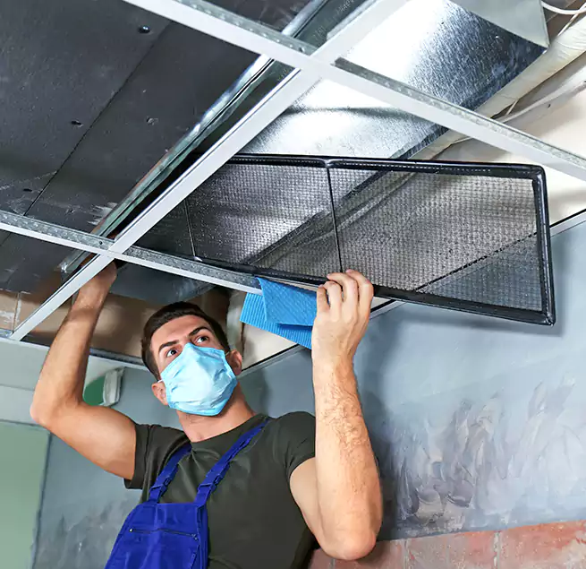 Why Homeowners Businesses Trust Us in Dickinson, TX